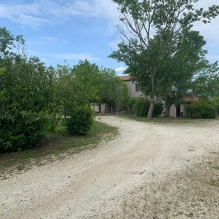 לינה וארוחת בוקר Bed §breakfast E Agriturismo I Gelsi בנוונטו